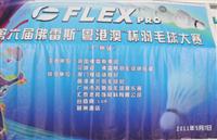 發揚體育拼搏精神，更快更高更強——匯泰龍大力贊助“粵港澳”杯羽毛球大賽