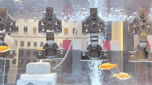 1720855204748623.gif 13.gif